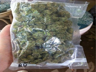 Blue Dream