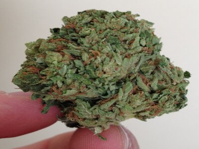 Bubba Kush