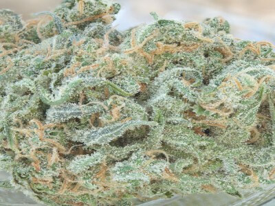 OG Kush