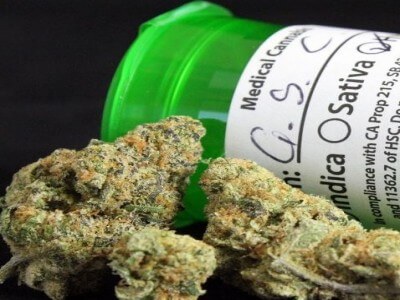 Girl Scout Cookies