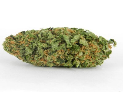 Northern Lights